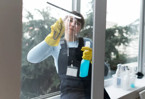 Nettoyage de vitres intérieures et extérieures à Dussac
